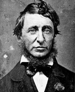 photo of Henry David Thoreau