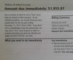 excerpt of an IRS letter with the heading "Notice of Intent to Levy - Amount due immediately: $1,955.87"