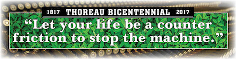 Thoreau Bicentennial Banner