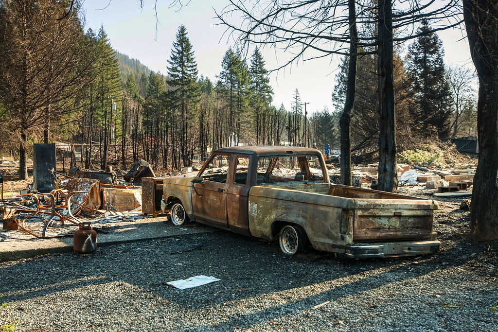 image of a car that has been burned surrounded by tree that have been burned from fire