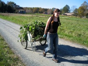 Person doing farm work.