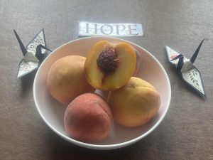 bowl of peaches surrounded by folded oragami peace cranes and the message Hope in the background